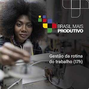Card: Gest�o da rotina do trabalho (17h)