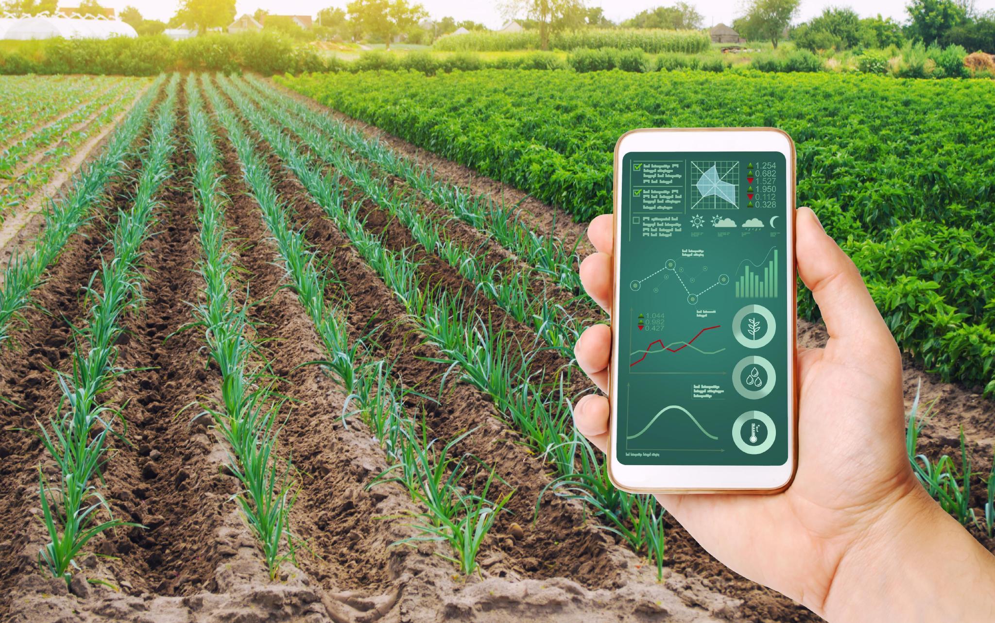 Imagem sobre Startups aceleradas pelo Sistema Fiep participam do Desafio Agritech