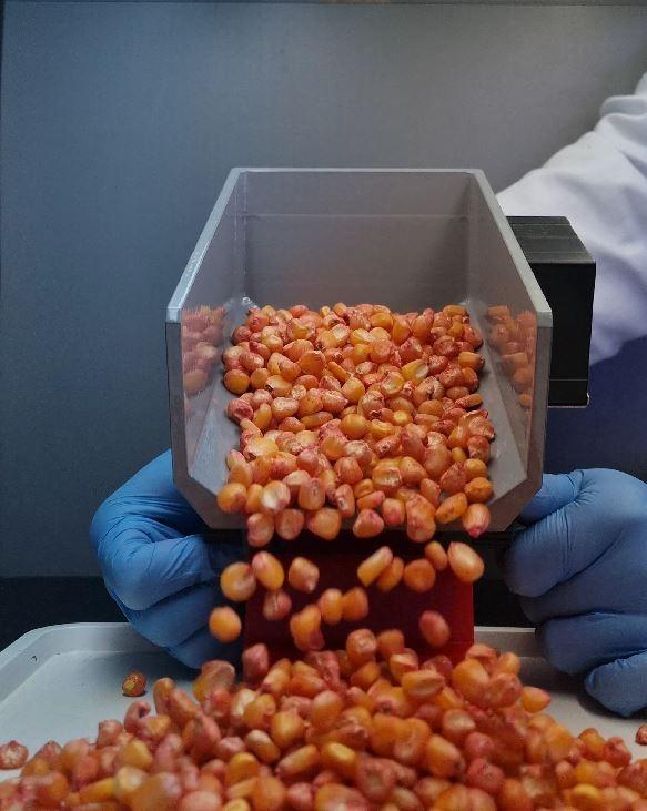 Imagem sobre Revestimento Inteligente é finalista em prêmio nacional de inovação da Embrapii