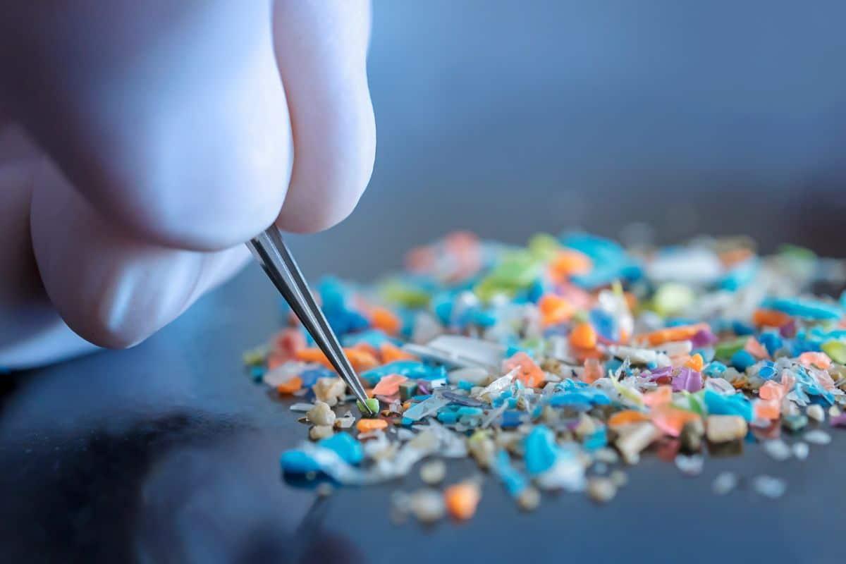 Imagem sobre Microplásticos no solo: Um desafio invisível, mas urgente